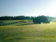 Northforeland Golf Club Hole 2